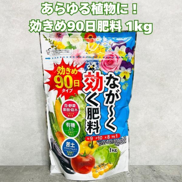 90日タイプ有機入りなが効き肥料 1kg 元肥 追肥 野菜類 クラピアなどのグランドカバーにも スイカ きゅうり ミニトマト ピーマン パプリカ