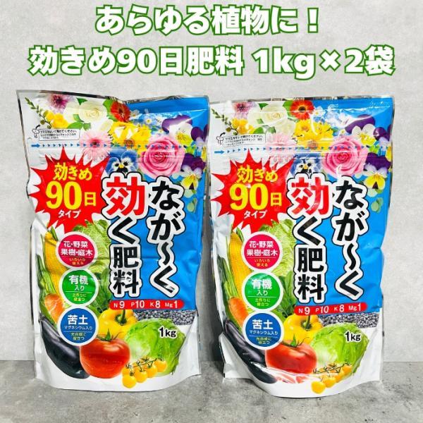 90日タイプ有機入りなが効き肥料 1kg×2袋 元肥 追肥 野菜 クラピアなどグランドカバーにも スイカ きゅうり ミニトマト ピーマン パプリカ