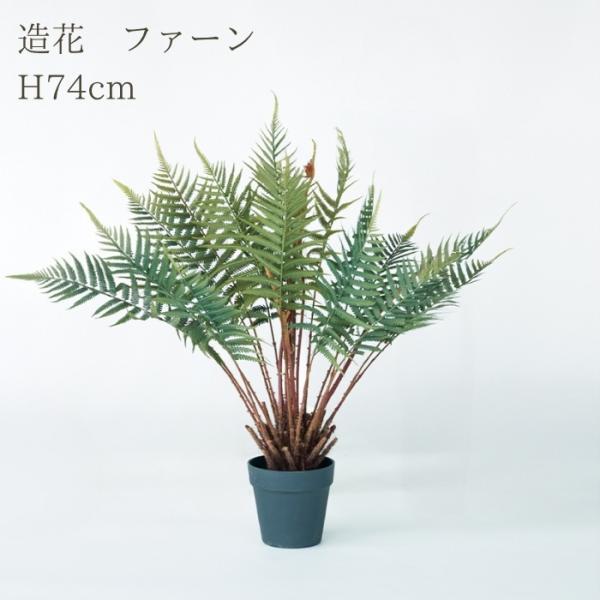 観葉植物 造花 ファーン 小型 全高74cm フェイクグリーン 人工観葉植物 本物そっくり おしゃれ インテリア 室内 オフィス 卓上 ミニ シダ