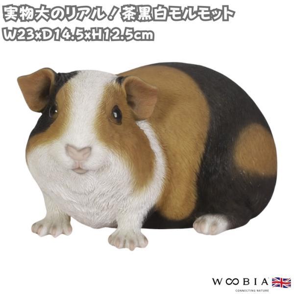置物 モルモット 茶黒白モルモット 幅23cm woobia ウービア リアル かわいい おしゃれ 玄関 インテリア オブジェ ガーデン テンジクネズミ