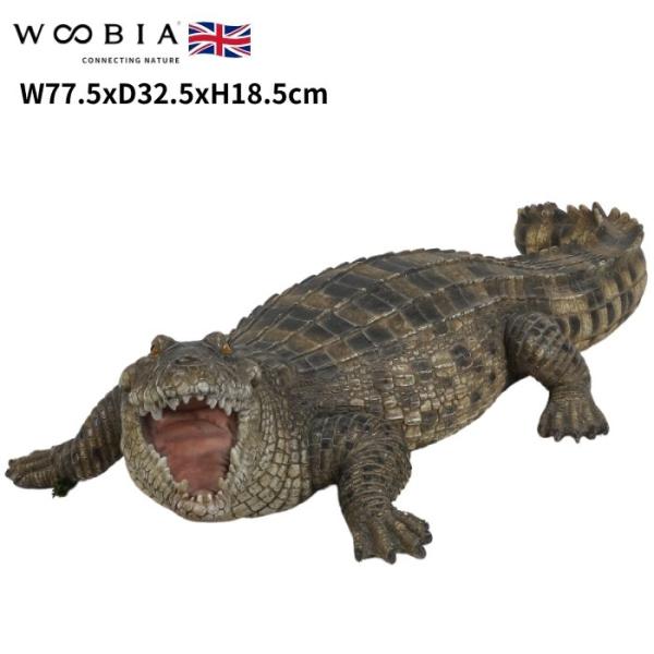置物 威嚇するワニ 高さ18.5cm woobia 動物 おしゃれ 大きい 玄関インテリア 庭 ガーデン かわいいオブジェ 北欧 リアル 大型 面白い ウービア