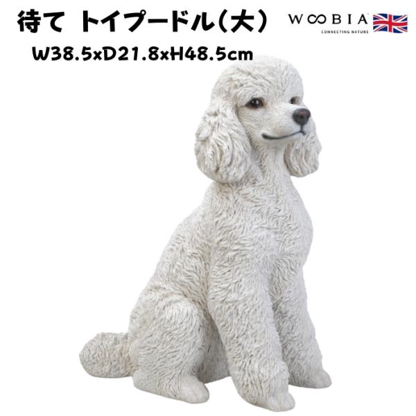 置物 待てトイプードル 大 犬グッズ 高さ48.5cm woobia 動物 おしゃれ 大きい 玄関 インテリア ガーデン かわいい オブジェ 北欧 リアル 大型 面白い ウービア