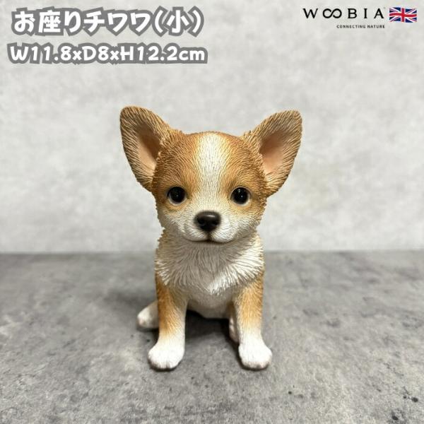 犬 置物 おしゃれ お座りチワワ 小 茶白 かわいい 動物 インテリア オブジェ ガーデンオーナメント woobia ウービア