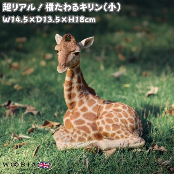 置物 横たわるキリン 小 高さ18cm woobia おしゃれ 大きい 玄関インテリア 庭 かわいいオブジェ リアル
