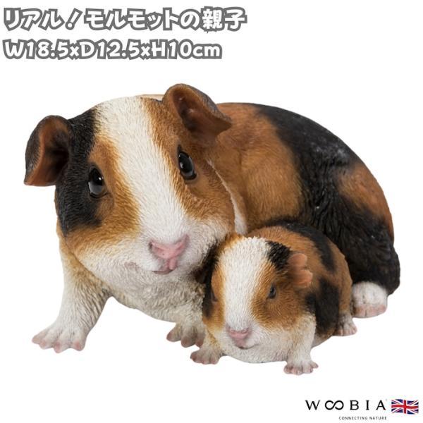 置物 モルモット モルモットの親子 幅18.5cm woobia ウービア リアル かわいい おしゃれ 玄関 インテリア オブジェ ガーデン 親子 動物