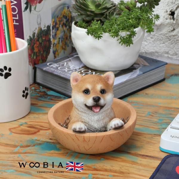 置物 犬 かわいい 動物 玄関 柴犬マグネットクリップ入れ 小物入れ イヌ おしゃれ インテリア 卓上 woobia ウービア