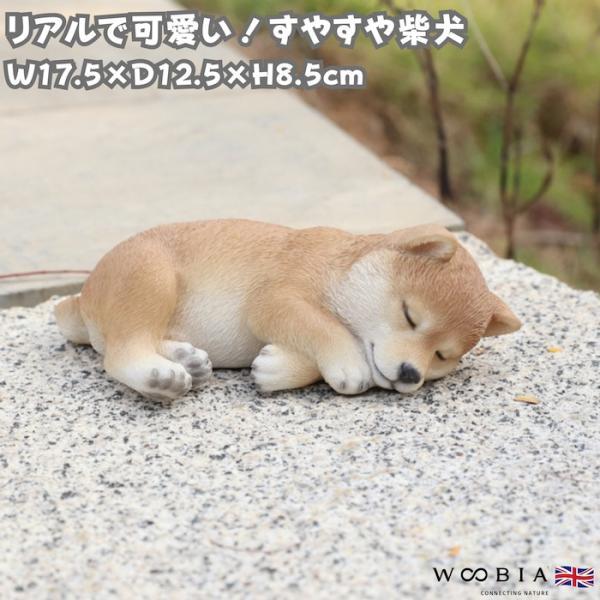 犬 置物 すやすや柴犬 横幅17.5cm WOOBIA リアル 可愛い おしゃれ オブジェ 卓上 インテリア 玄関 ギフト 動物 雑貨 癒し