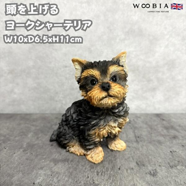 犬 置物 おしゃれ 頭を上げるヨークシャーテリア かわいい 動物 インテリア オブジェ ガーデンオーナメント woobia ウービア