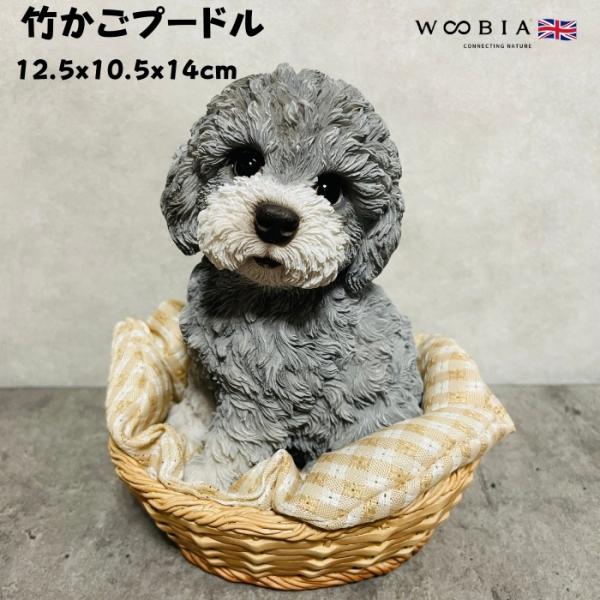 置物 犬 かわいい 動物 玄関 竹かごプードル グレー おしゃれ