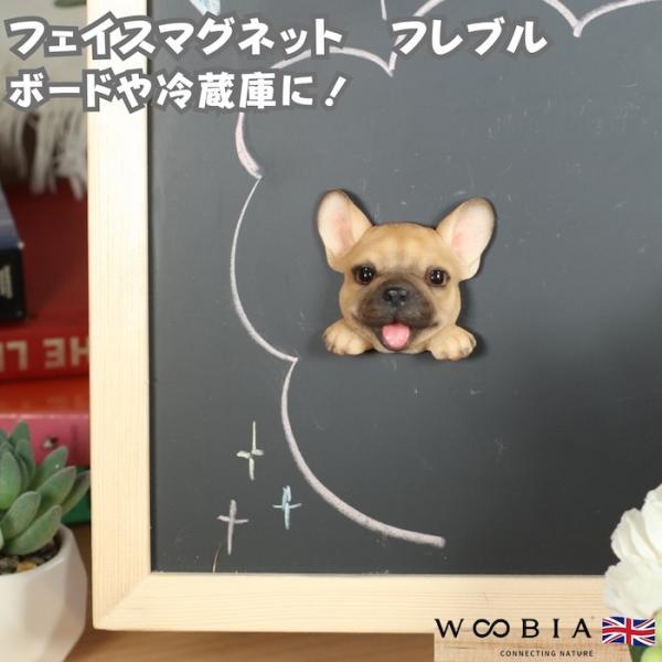 WOOBIA フェイスマグネット フレンチブルドッグ フレブル 犬 冷蔵庫 マグネット かわいい 立体 リアル ブルドッグ 子犬 愛犬 動物 幅6cm