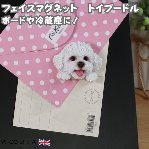 WOOBIA フェイスマグネット トイプードル 白 ホワイト 犬 冷蔵庫 マグネット かわいい 立体 リアル トイプー プードル 子犬 愛犬 幅6.2cm