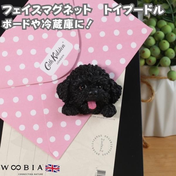 WOOBIA フェイスマグネット トイプードル 黒 ブラック 犬 冷蔵庫 マグネット かわいい 立体 リアル トイプー プードル 子犬 愛犬 幅6.2cm