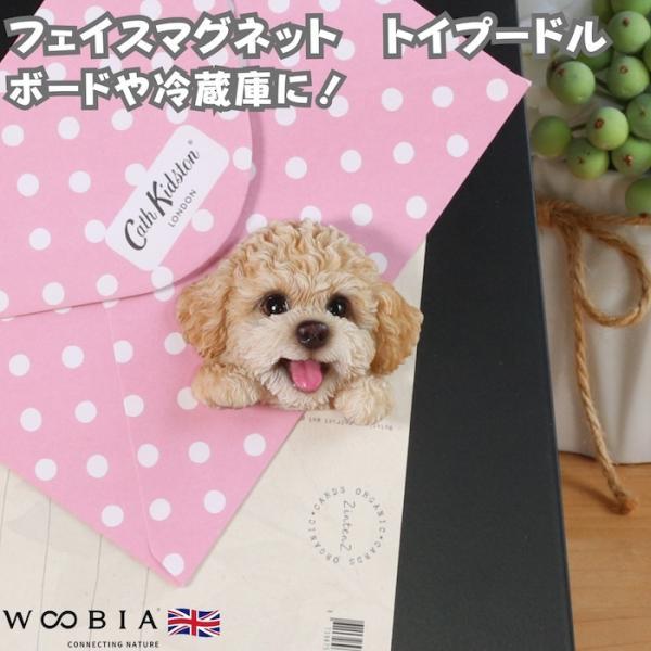 WOOBIA フェイスマグネット トイプードル アプリコット 犬 冷蔵庫 マグネット かわいい 立体 リアル トイプー プードル 子犬 幅6.2cm