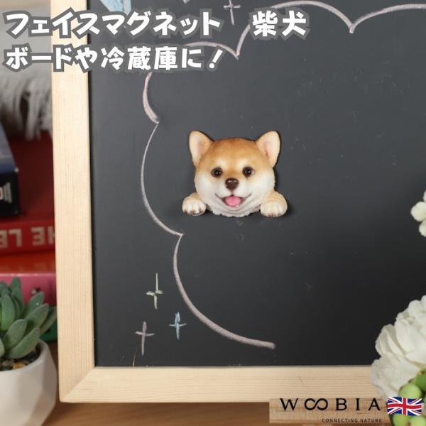 WOOBIA フェイスマグネット 柴犬 柴 犬 冷蔵庫 マグネット かわいい 立体 リアル しばいぬ 日本犬 子犬 愛犬 動物 雑貨 玄関 幅5.8cm