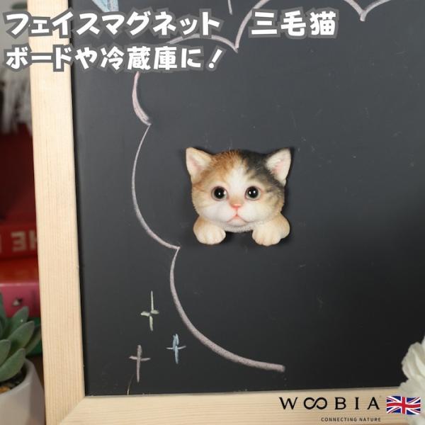 WOOBIA フェイスマグネット 三毛猫 三色 猫 冷蔵庫 マグネット かわいい 立体 リアル ねこ 招き猫 子猫 動物 雑貨 玄関 ギフト 幅5.2cm