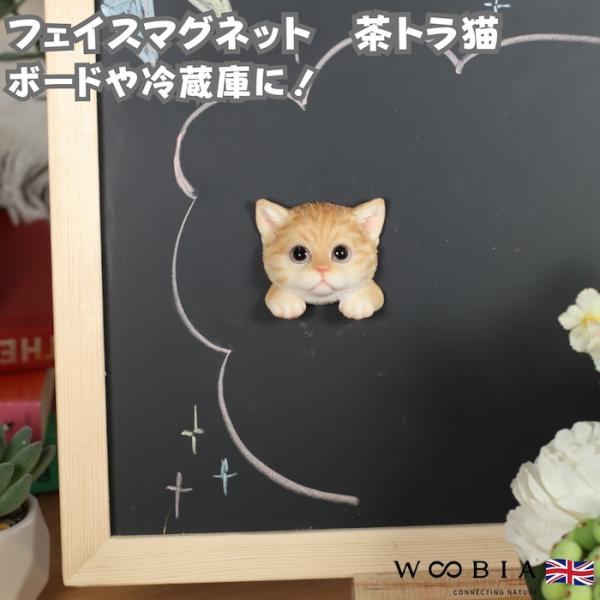 WOOBIA フェイスマグネット 茶トラ猫 茶トラ 猫 冷蔵庫 マグネット かわいい 立体 リアル ちゃとら 子猫 愛猫 ねこ 動物 雑貨 幅5.2cm