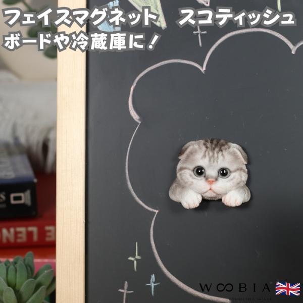 WOOBIA フェイスマグネット スコティッシュフォールド グレー 猫 冷蔵庫 マグネット かわいい 立体 リアル スコ 折れ耳 子猫 幅5.5cm