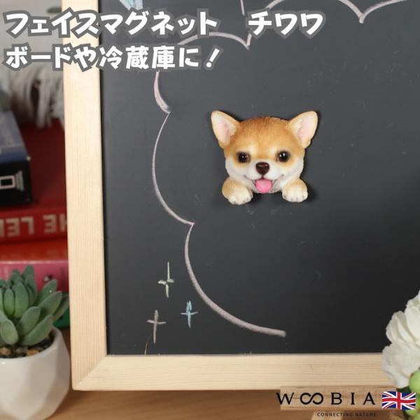 WOOBIA フェイスマグネット チワワ レッド 犬 冷蔵庫 マグネット かわいい 立体 リアル ちわわ 子犬 愛犬 ドッグ 動物 雑貨 玄関 幅6cm