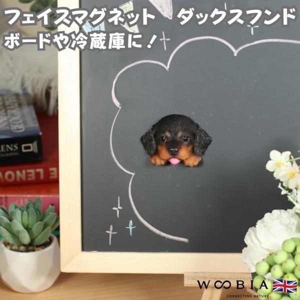 WOOBIA フェイスマグネット ダックスフンド ブラック 犬 冷蔵庫 マグネット かわいい 立体 リアル ダックス カニンヘン 子犬 幅6.5cm