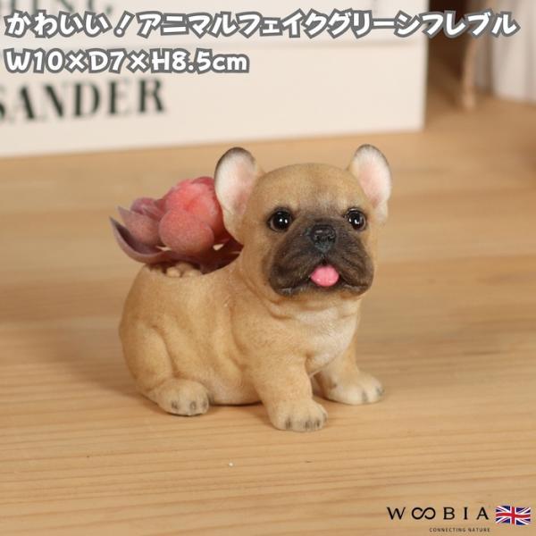 置物 犬 玄関 インテリア 卓上 フレンチブルドッグ アニマルフェイクグリーン 幅10cm WOOBIA ウービア イギリス フレブル好き ギフト