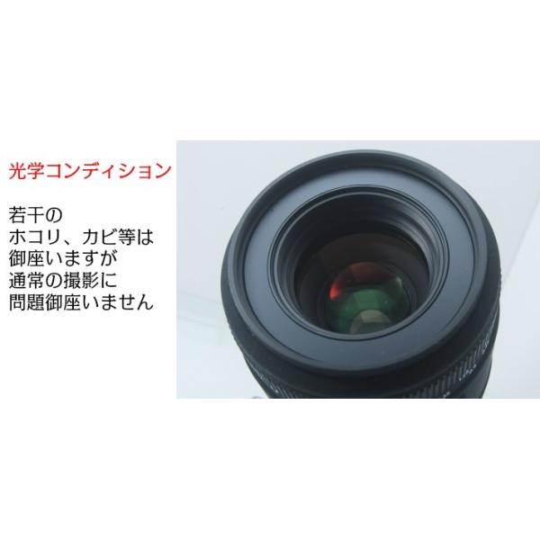 カメラ 初心者 単焦点