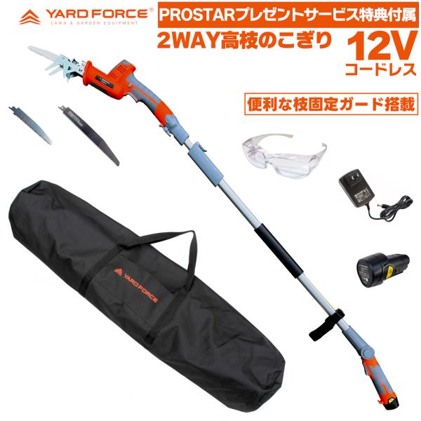 工具収納バッグ・2種ブレード替刃・他付　2WAY　電動のこぎり　12Vコードレス　高枝延長ポール付　小枝固定ガード付　YARDFORCE　ヤードフォース