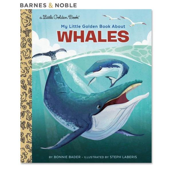 ※メーカーによりデザイン、成分内容等に変更がある場合がございます。▼サイズ6.63×8.00×0.19インチ (約16.8×20.3×0.5cm)▼著者Bonnie Bader (ボニー・バッダー)▼ご注意・詳しくはメーカーサイトをご覧くだ...