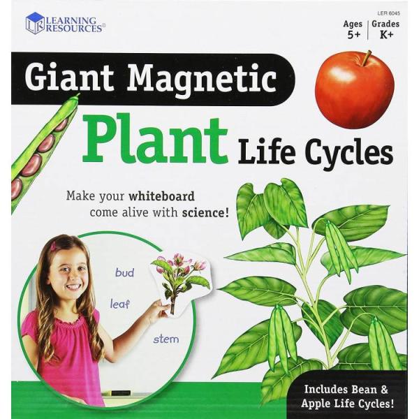 お取り寄せ ラーニングリソーシズ 大型マグネット 植物の一生 12点 5歳以上 Learning Resources Giant Magnetic P