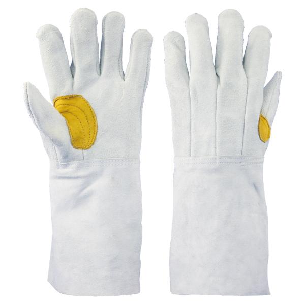 ܂Ƃߔ@v ᓖt 5{w D n:8711-7Y@60o/@