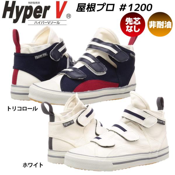 ƌC iS nCp[V #1200 v nCJbg cȂƗpXj[J[ }WbNe[v xg ϊ ׂɂ