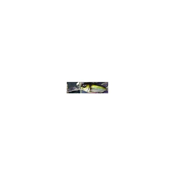 megabass MR-X Cyclone / メガバス MR-X サイクロン （GGオイカワ♂）
