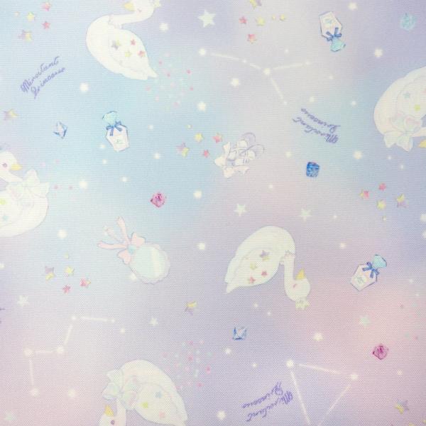 体操着袋 体操服入れ ジャージケース 巾着 メール便選択送料100円 1通2枚まで 新入園 入学時の必需品 新作入荷 男児 男の子 女児 女の子 Buyee Buyee Japanese Proxy Service Buy From Japan Bot Online