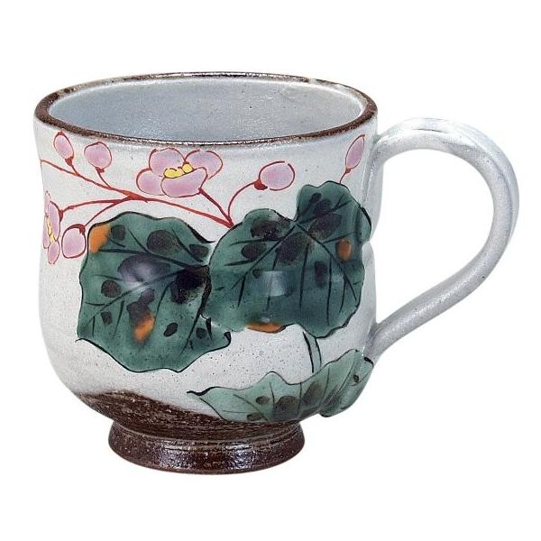 Jā@ԗ}OJbv HC(10)J aH   lC Mtg Zbg 蕨 j/j/Ԃ