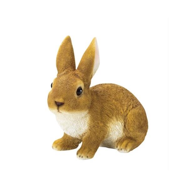 K[fjOɍœKBX̃fBXv[₨̃I[igɁ@|W@ETML@H20.5cm@