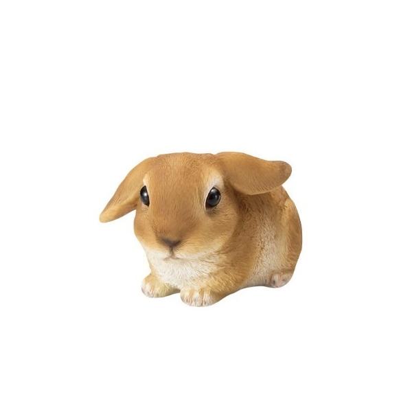 K[fjOɍœKBX̃fBXv[₨̃I[igɁ@|W@ETMSS@H7cm@