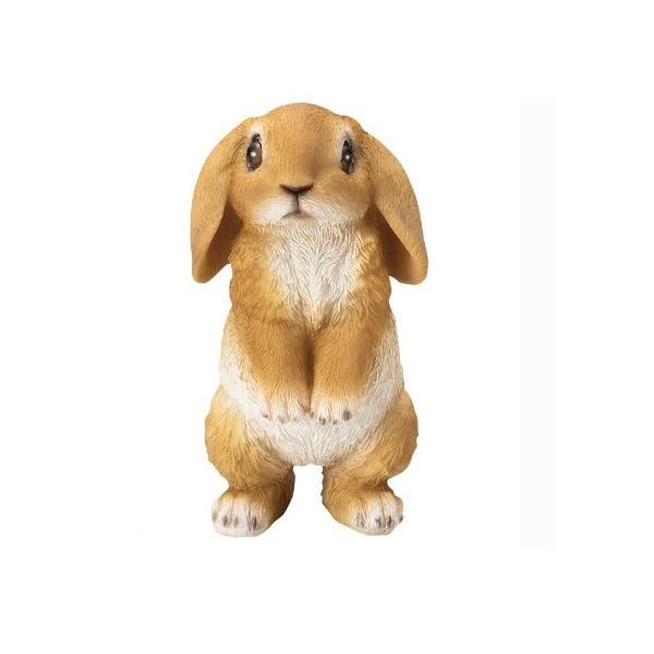 K[fjOɍœKBX̃fBXv[₨̃I[igɁ@|W@ETMS@H15cm@