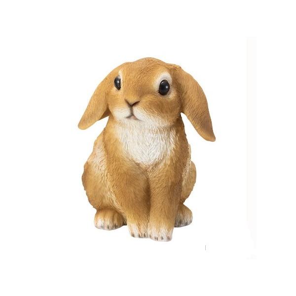 K[fjOɍœKBX̃fBXv[₨̃I[igɁ@|W@ETMM@H14cm@