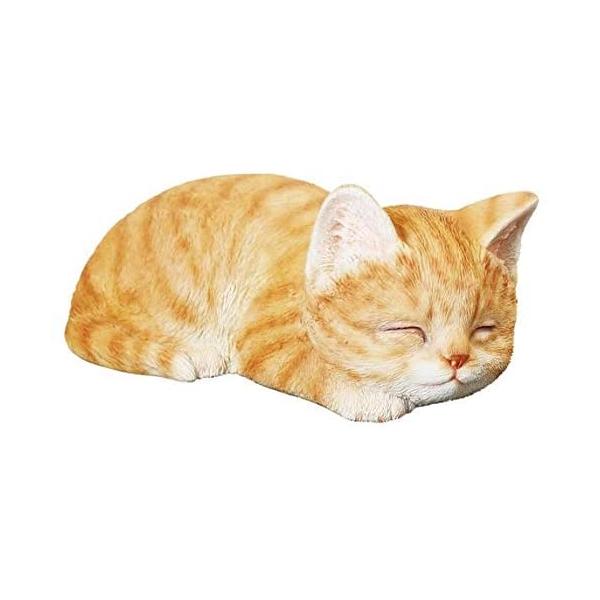 炵L̒u@L@C悳ɖƂĂ킢lR̃IuWF@8cmiCeA@v[gj