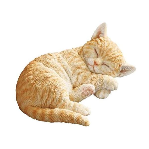 炵L̒u@L223@C悳ɖƂĂ킢lR̃IuWF@9.3cmiCeA@v[gj