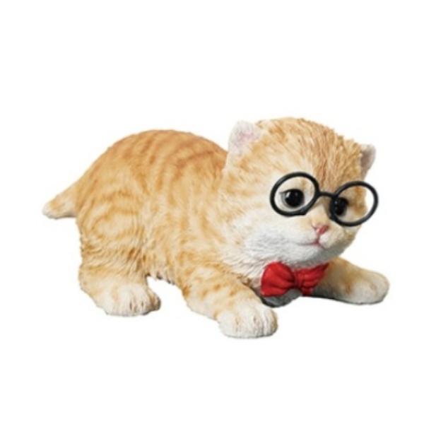 炵L̃IuWF@ɒBKlL@킢lR̃IuWF@10cmiCeA@u@v[gj