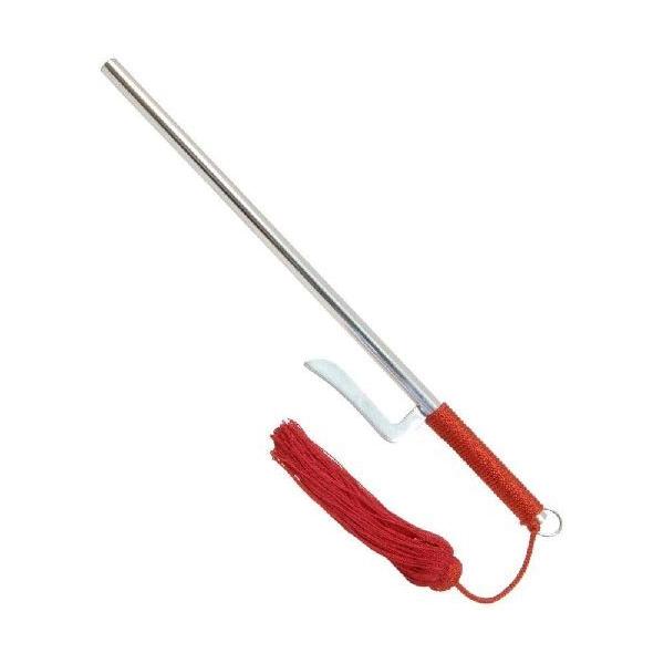 ͑\ (ZJ107Ԗ[)y@@@f@RXv@ϐg@CeA Ϗܗpz