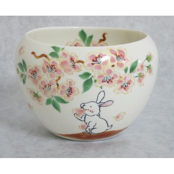 {@Z/JAPAN@̓yAq@kTCY@