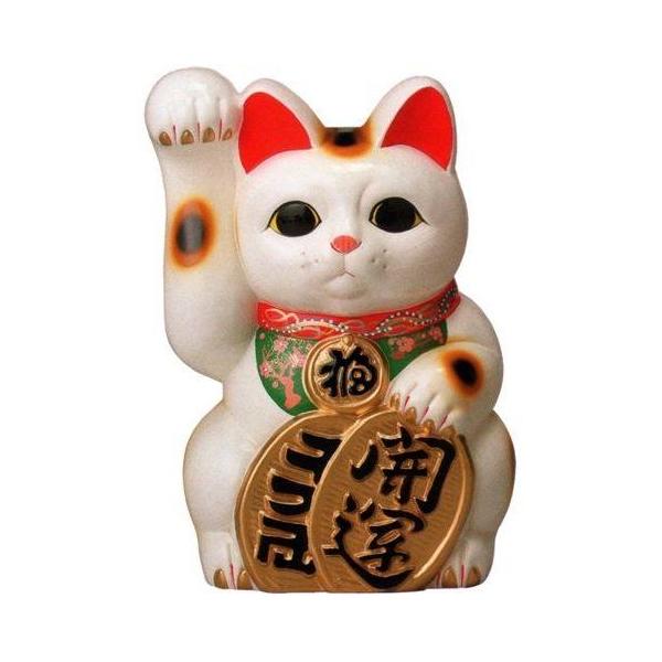 常滑焼 招き猫 梅月 開運白手長小判猫（右手/左手）15号 高さ：48cm