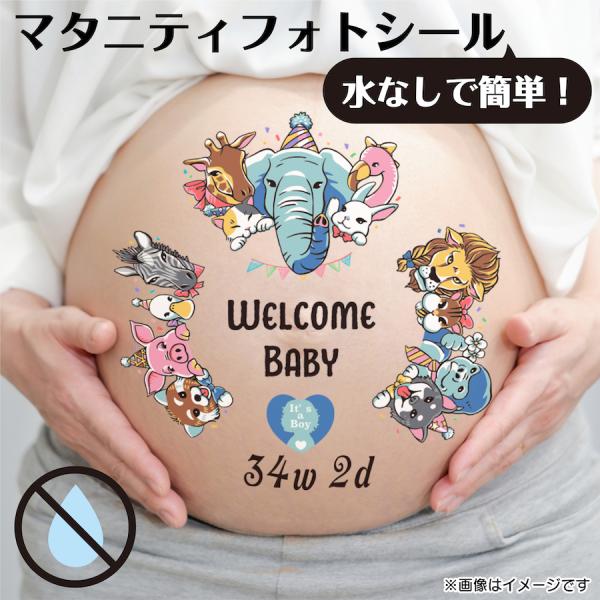 <サイズ>●本体サイズ横　21cm縦　29.7cm(A4サイズ)<商品説明>●マタニティシールマタニティペイントはしたいけど時間がないフォトスタジオに行けない気軽にマタニティフォトを撮りたいという方いかがでしょうか。...