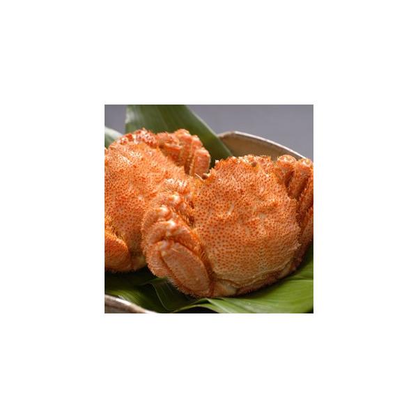 kCY ъI 2tyszkCO IX C̍K ґO  ~̖o Mtg IDK