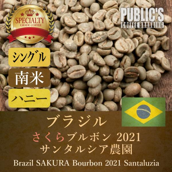 生豆 240g ブラジル さくらブルボン サンタルシア農園 生豆 240g ブラジル さくらブルボン サンタルシア農園