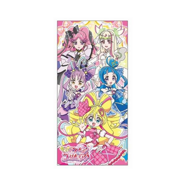 サンスター文具 札用ポチ袋 キミとアイドルプリキュア♪ 6114360A 2枚入 送料込