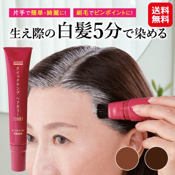 クイックヤングヘアカラー 白髪 白髪隠し 生え際 部分染め 毛染め 根元 ヘアカラー スティック 毛染めブラシ カラーリング ブラシ 刷毛 ヒト脂肪細胞 シア脂