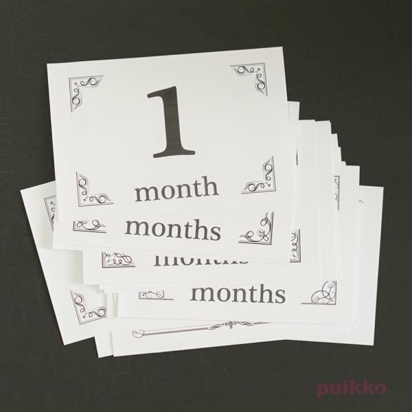 出産から1歳までの赤ちゃんの成長記録を写真に残すための月齢カード（マイルストーンフォトカード／フォトプロップス）はがきサイズ16枚セットです。生後１か月ごとに、赤ちゃんにこのカードを添えて撮影してください。毎月写真を撮ることによって赤ちゃん...