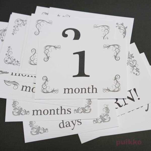 出産から1歳までの赤ちゃんの成長記録を写真に残すための月齢カード（マイルストーンフォトカード／フォトプロップス）L判16枚セットです。生後１か月ごとに、赤ちゃんにこのカードを添えて撮影してください。毎月写真を撮ることによって赤ちゃんの成長が...